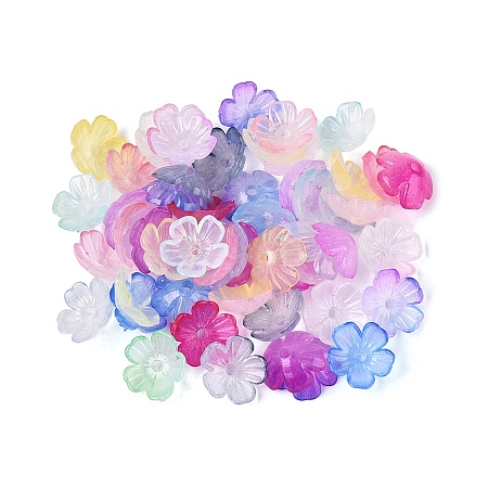 Transparent Plastic Bead Caps KY-Q005-02A-M02-1