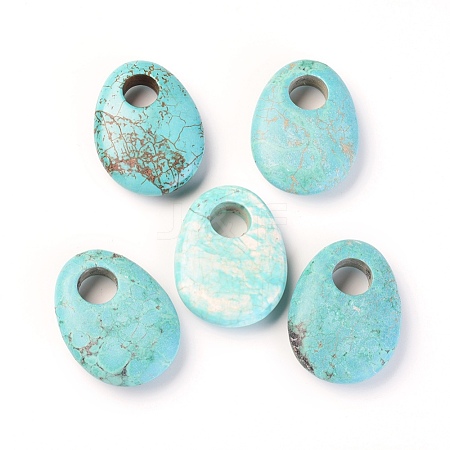 Natural Howlite Pendants TURQ-L031-027-1