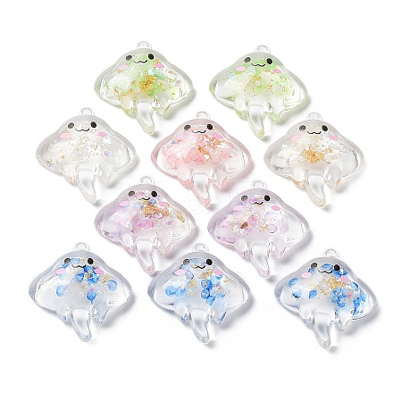 Luminous Transparent Acrylic Pendants TACR-F006-01-1