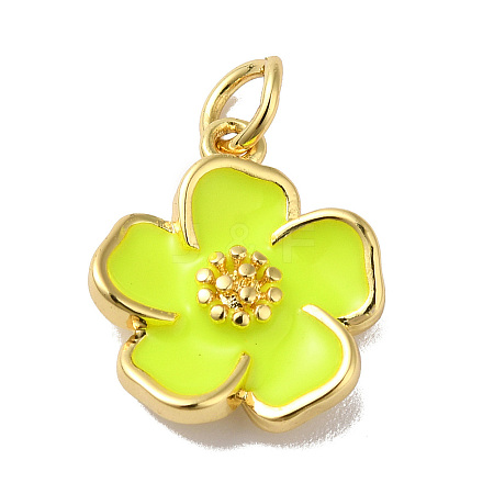 Rack Plating Brass Enamel Charms KK-O142-56G-03-1