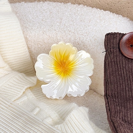 Two Tone Plastic Claw Hair Clips PW-WG9B72A-03-1