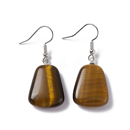 Natural Tiger Eye Trapezoid Dangle Earrings EJEW-D188-02P-04-1