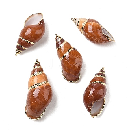 Natural Spiral Conch Shell Big Pendants SH-CBACA76-10-1