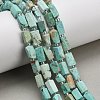 Natural Peruvian Turquoise(Jasper) Beads Strands G-NH0072-E04-01-1