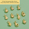   60Pcs 10 Style Electroplated Alloy Charms PALLOY-PH0002-08-6