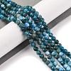 Natural Apatite Beads Strands X-G-F770-C02-02-2