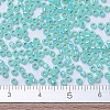 MIYUKI Round Rocailles Beads SEED-G007-RR0571-4