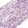 Natural Amethyst Beads Strands G-D324-01-2