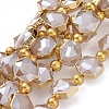 Opaque Glass Beads Strands EGLA-P045-A07-1