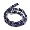 Natural Sodalite Beads Strands G-Q167-B06-01-3