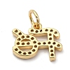 Brass Micro Pave Clear Cubic Zirconia Charms X-ZIRC-A013-24G-2