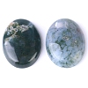 Natural Indian Agate Cabochons PW-WG8E62B-04-2