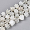 Natural White Moonstone Beads Strands G-N327-08A-09-2