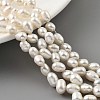Natural Cultured Freshwater Pearl Beads Strands PEAR-A006-22-X-1