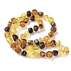 Natural Amber Beads Strands G-L095-E01-01-3