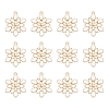 Barrel Plating Alloy Enamel Pendants ENAM-YW0002-57-1