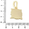 Brass Enamel Pendants KK-F886-01G-01-3