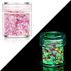 Luminous Nail Art Glitter Powder LUMI-PW0004-034F-1