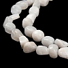 Natural Rainbow Moonstone Beads Strands G-P497-01E-69A-4