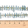 Natural Aquamarine Beads Strands GG-CBAE051-B01-01-5