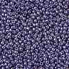 TOHO 11/0 Round Beads LS-X-SEED-TR11-PF0567-2