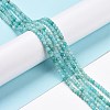 Natural Amazonite Beads Strands G-C009-C05-2