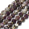 Natural Tourmaline Beads Strand G-I376-A24-01-1