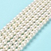 Natural Cultured Freshwater Pearl Beads Strands PEAR-E016-167-2