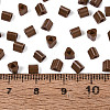 FGB Baking Paint Glass Seed Beads SEED-Q040-09A-08-4