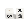 Handmade Porcelain Beads LS-PORC-R003-07-03-2
