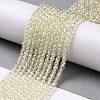 Electroplate Transparent Glass Beads Strands X1-GLAA-H021-01B-FR04-3