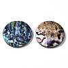 Natural Abalone Shell/Paua Shell Pendants SSHEL-N034-86-2