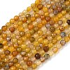 Natural Agate Beads Strands X-G-H302-A01-14-2