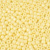 Opaque Baking Paint Glass Seed Beads SEED-T008-02B-3