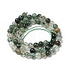Natural Fuchsite Beads Strands G-K285-40A-1-3