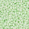 Opaque Colours Luster Glass Seed Beads SEED-T006-02I-2