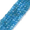 Natural Apatite Beads Strands G-C009-B14-1