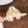 Cellulose Acetate(Resin) Claw Hair Clips PW-WG2D4AB-01-1