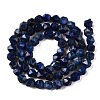 Dyed Natural Lapis Lazuli Beads Strands G-T138-218-2