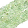Natural Prehnite Beads Strands G-K395-B08-01-2