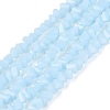 Opaque Glass Beads Strands GLAA-N019-3mm-16-1