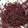 TOHO Round Seed Beads SEED-JPTR11-2113-1