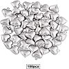 304 Stainless Steel Charms STAS-UN0003-85-3