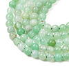 Natural Chrysoprase Beads Strands G-H358-A04-3mm-01-4