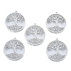 Non-Tarnish 201 Stainless Steel Pendant STAS-B027-13P-2