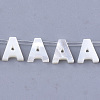 Natural Sea Shell Beads SHEL-T012-60-2