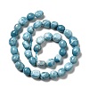 Natural Gemstone Beads Strands G-F730-05B-3