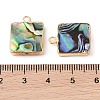 Natural Paua Shell Pendants SHEL-P017-21G-3