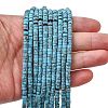 Dyed Synthetic Turquoise Beads Strands G-Z089-A04-Q-1