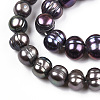 Natural Cultured Freshwater Pearl Beads Strands PEAR-N013-08D-5